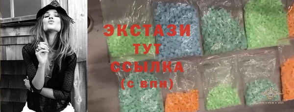 гидра Вязьма