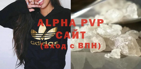 гидра Вязьма