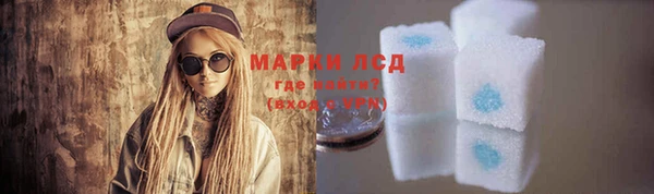 гидра Вязьма