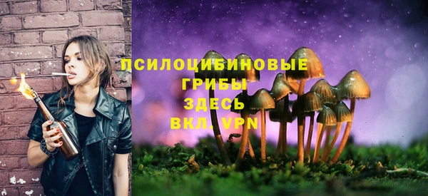 гидра Вязьма