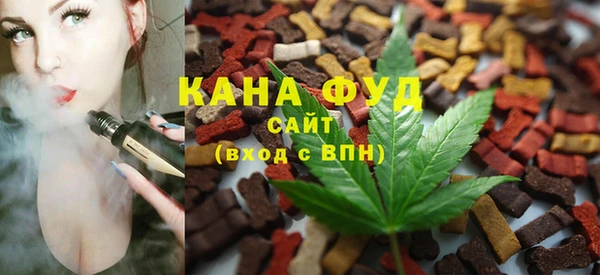 гидра Вязьма