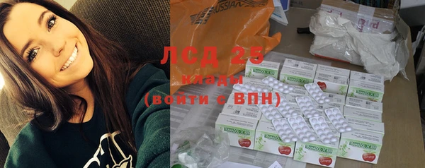 гидра Вязьма