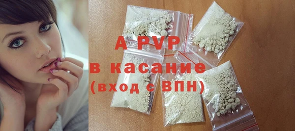 гидра Вязьма