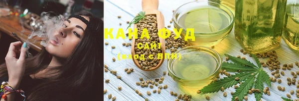 гидра Вязьма
