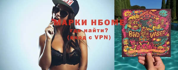 гидра Вязьма